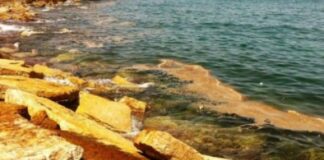 Trani: la terra, il mare e l’inquinamento