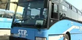 La Stp ha un nuovo presidente: si tratta di Alberto Muciaccia