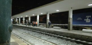 Travolta da un treno merci: muore una donna