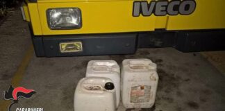 Preso il ‘vampiro’ degli autobus