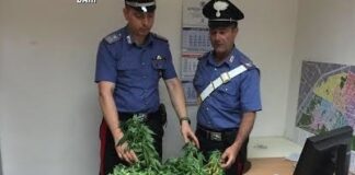 Servizio straordinario antidroga dei Carabienieri di Trani: in due finiscono in manette