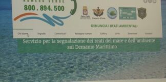 Numero verde ecoreati: chiusura del progetto