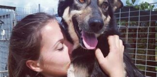 Campagna di sensibilizzazione contro l’abbandono dei cani
