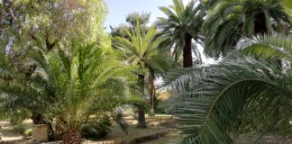 Terminati i lavori di manutenzione del giardino di Villa Telesio: domani la riapertura
