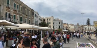 Intrattenimento e animazione per i turisti, il Comune si affida alle idee dei tranesi