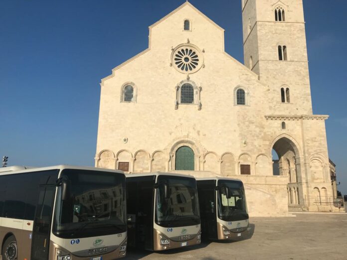 trani bus stp extraurbani trasporto (16)