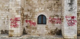 Lo sfregio di San Valentino, Bottaro: «Luigi, hai una fidanzata idiota»