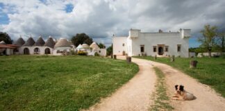 Fase 3, boom di presenze negli agriturismi pugliesi: pernotti fino a 14 giorni