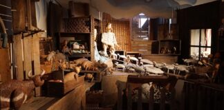 Da tutto il mondo per visitare “Imaginarium” dei fratelli Forman a Trani