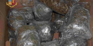 Scoperti 14 Kg di marijuana: arrestato a Trani 48enne biscegliese