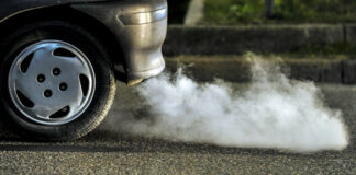 Smog, basse percentuali di verde pubblico nei Comuni pugliesi: c’è anche Trani
