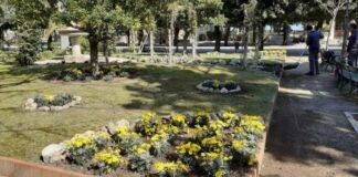 Prendersi cura del verde in città, in attesa che passi l’emergenza