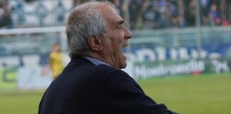 La Vigor Trani non si presenta a Stornara per l’ultima giornata di Eccellenza