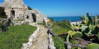 Una vacanza di solidarietà fra Trani e Bisceglie
