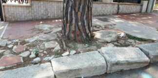 Trappole in viale De Gemmis, una bambina cade sui marciapiedi distrutti