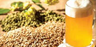 Birra, Coldiretti: «2 volte a settimana per il 44% dei pugliesi»