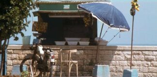 La Trani di una volta: da Ciccillo sul lungomare e quelle cozze che erano “nu prusutt”