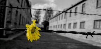Giornata della memoria, organizzate uscite didattiche per gli alunni delle scuole tranesi