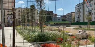 Furto di rame nel “Parco della Pinetina” di via Andria: denunciato 31enne tranese