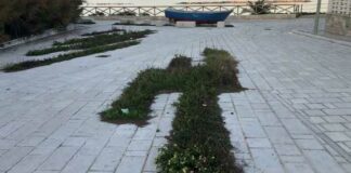 Lungomare Mongelli, Centrone (cdx): «Non è stato installato un impianto di irrigazione»