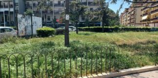 Progetti di utilità collettiva, Bottaro premia i percettori del reddito di cittadinanza per l’impegno
