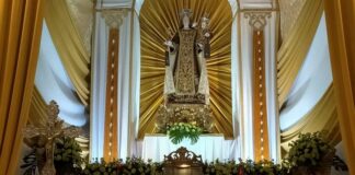 Padre Enrico Moscetta nuovo rettore della B.V. Maria del Carmine a Trani