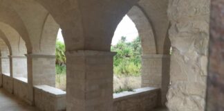 “Notte delle Lanterne”, nel weekend a Trani un viaggio tra vino, cultura e tradizione