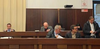 Via libera del consiglio alla Consulta per Pari Opportunità, la soddisfazione di Luca Morollo