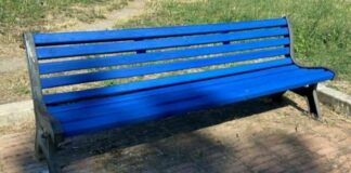 Giornata mondiale del diabete, panchine blu a Trani: oggi la consegna