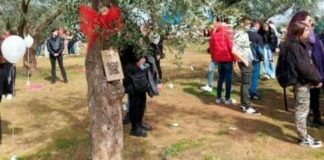 A Martano un ulivo in memoria di Teresa Di Tondo