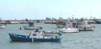 Fermo pesca dal 29 luglio al 9 settembre, Riglietti (Cgil BAT): «Troppo pochi 20,60 euro di indennità giornaliera»