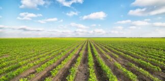 ConTeStoLab, visita all’azienda agricola Pozzoserpi per i ragazzi speciali