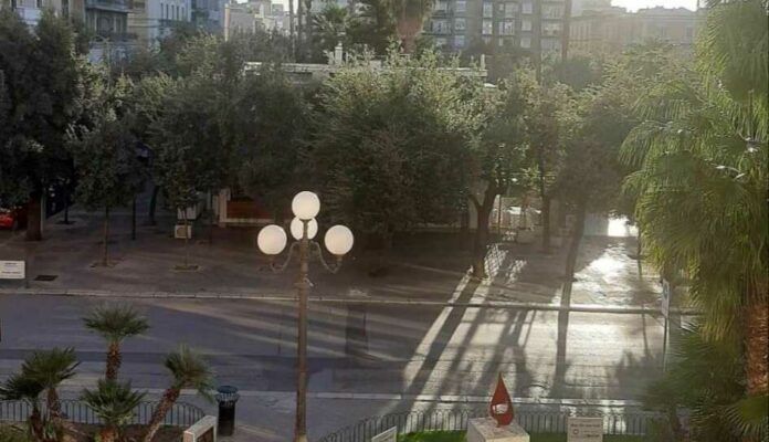 Immagine WhatsApp 2023-11-13 ore 18.28.41_a8ecff8b