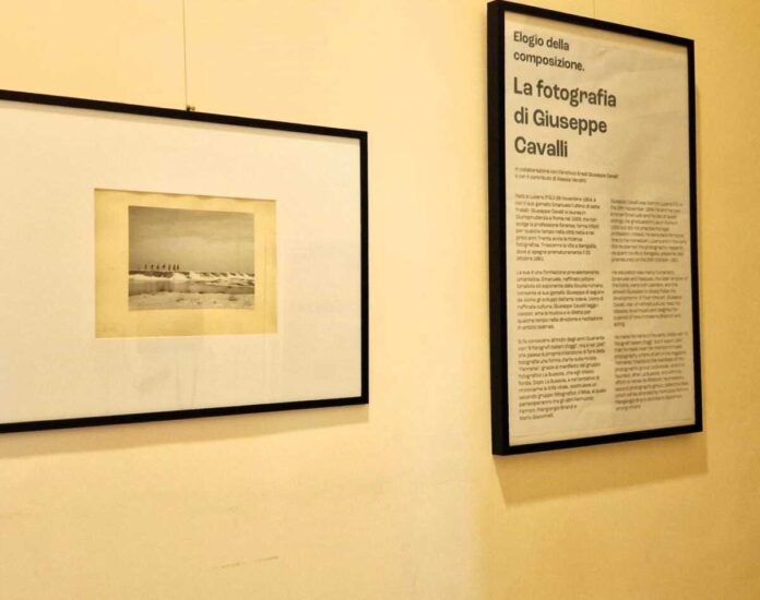 Mostra Cavalli