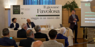 Al via a Trani la due giorni dedicata all’olio di “Favolosa”, la cultivar che ha sconfitto la Xylella