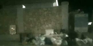 Le notti da incubo in via dei Finanzieri, tra topi e puzza