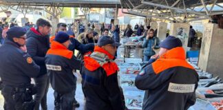 Operazione della Guardia Costiera “e-Fishing”, 25 quintali di prodotto ittico sequestrato nella Bat