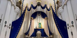 Trani celebra Sant’Anna: il programma dei Solenni Festeggiamenti 2026