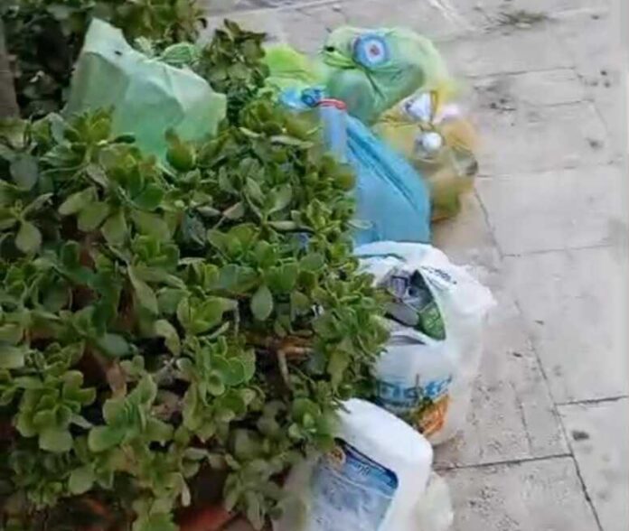 piazza Domenico Sarro rifiuti