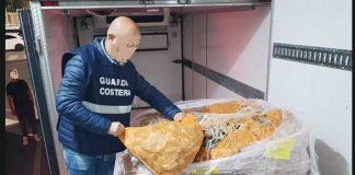 Guardia Costiera BAT, sequestrati 500 chili di prodotto ittico