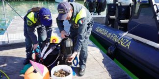 Contrasto alla pesca di frodo tra Bari e BAT, sequestrati 360 chili di prodotti ittici