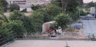 Alle spalle del Palazzetto è “safari” nella giungla fra serpenti e tane di volpi