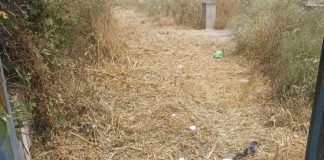 Area Palazzetto: il degrado regna…