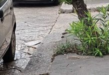 Barba e Capelli | Il troppo e il niente per il Verde, ma il risultato è sempre un disastro…