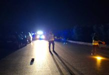 Investe e uccide una 77enne di Bisceglie sulla SP34, arrestato il 48enne: positivo alla cocaina